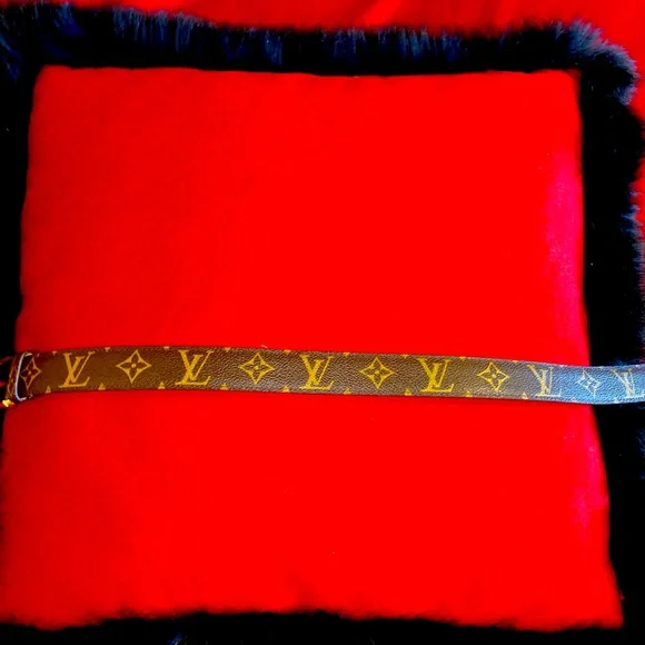 Louis Vuitton | Accessories | Louis Vuitton Ellipse Do Mono  display picture 2